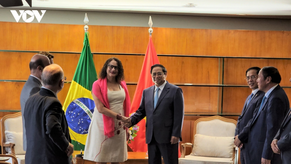 PM receives Brazilian Party leader, visits friendship association, and Vietnamese embassy